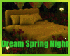 Dream Spring Night Photo