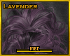 MBC💠Sabina Lavender