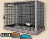 Dog Cage
