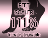 Foot Scaler Sizer 111%