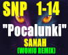 IIPocalunki-SANAH/REMIXI