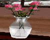 Pink Roses + vase