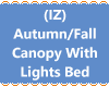 IZ Canopy wLights Bed