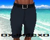[J] Classy Navy Shorts