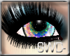 -SWD- Aurora Eyes