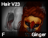 Ginger Hair F V23