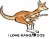 i love kangaroos