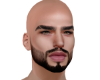 Lex Asteri Head V6