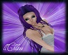 {C}Jabilina Dark Purple