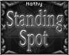 ~: Basic Standing Spot:~