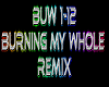 Burning My Whole rmx