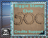 500 credits BS support