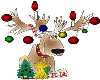 Animated Deer n Lights