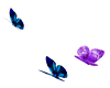 Butterfly Swarm 2