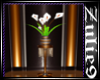 BallRoom Plant