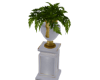 Pedestal Plant