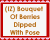 (IZ) Bouquet Berry Pose