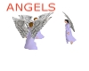 LAVENDER ANGELS