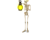Skeleton With Lantern