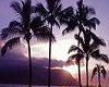Sunset Picture Hawaii