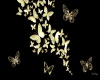 Golden Butterflies