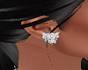 sexy wolf earrings