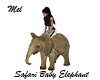 Safari Baby Elephant