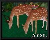 Animated Deer