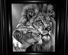 Cuddle Lion b/w