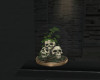 ~HD Skull Terrarium