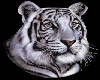 Ani White Tiger Head