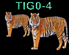 Tiger Effect