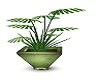  h plant w/ green plante
