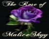 The Rose of Malice