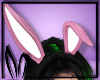 K.Bunny Barbie Ears