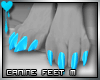 D~Canine Feet:Blue M