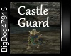 [BD]Castle Guard
