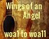 Wings of an Angel