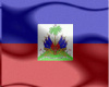 Haitien Flag animated
