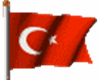 [i] Turkish flag