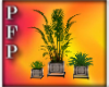 [T]Plants4