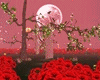 Romantic Roses Field