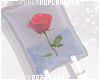 $K Valentine Rose IV