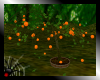 [A]Forest Orange Tree