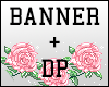 Banner+DP