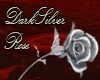Dark Silver Rose