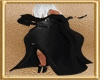 〆 Black Coat