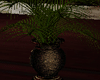 [lyh]love plant2