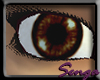 Senga eyes brown