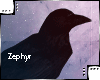 [Z.E] Crow Shoulder